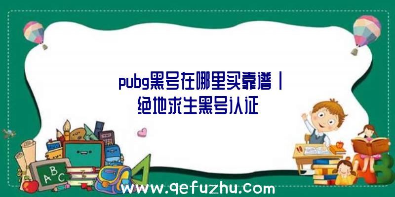 「pubg黑号在哪里买靠谱」|绝地求生黑号认证